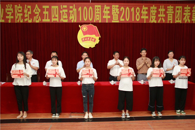 优秀团干部
