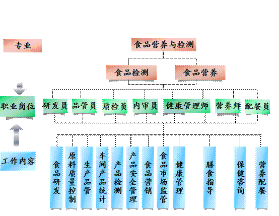 2专业岗位分析.png