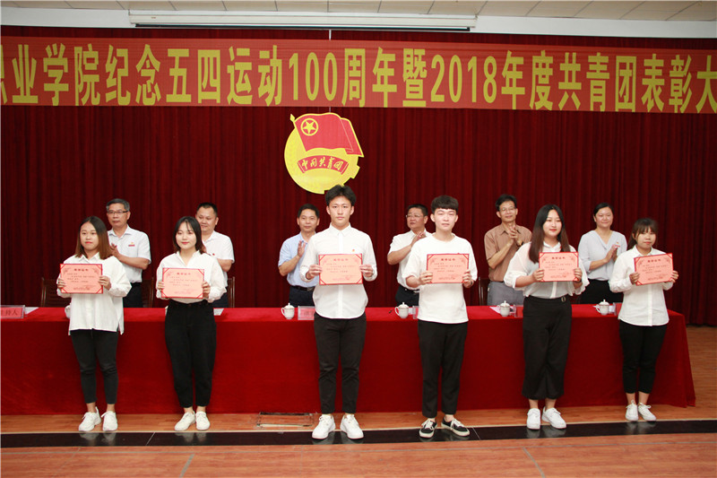 优秀团干部标兵