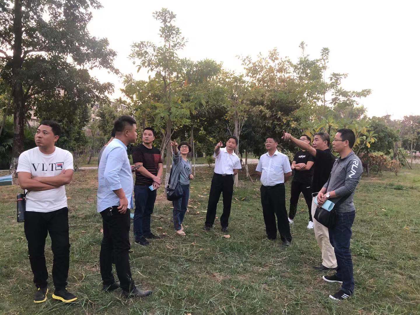 学员们与学院领导及相关部门负责人共同讨论捐赠苗木及景观石的栽种及摆放方案