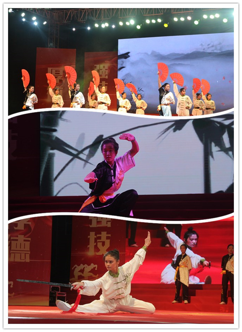 武术表演《武乐中来》